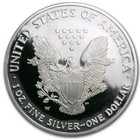 American Silver Eagle Ms70 Ngc Pcgs Anacs Random Year-label  ummer Blowout      