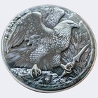 Bald Eagle In Battle 2oz  999 Silver - 2 Guards 2024 Truth Guard Antique Finish