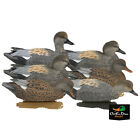 New Avery Greenhead Gear Ghg Pro Grade Pg Ls Gadwall Floater Duck Decoys 6