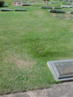 Two  2  Burial Plots clifton  Nj west Ridgelawn Jewish Cemetery king Solomon