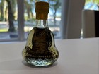 Real Cobra Snake In A Small X O Glass Bottle 4  Tall