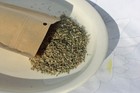Organic Catnip Coarse Cut - 2 Or 4 Ounce