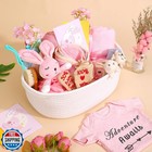 27-piece Baby Girl Shower Gift Basket Set - Newborn Essentials  L