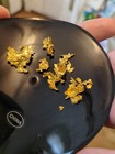 1 Gram Refined 24k Gold Shot flakes For Casting And Jewelry