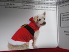 Pet Dog Santa Costume Christmas Size Medium