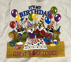 Great Wolf Lodge    it   s My Birthday    Party Anime T Shirt Gildan Kids Size Medium