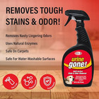 Urine Gone Stain   Odor Eliminator  Professional Strength Fast Acting  Enzyme   