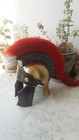 Medieval Brass Finish Roman Greeco Armor Helmet W red Plume Reenactment Item