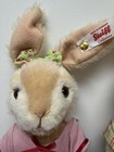 Steiff 006500 006517 Rabbit Boy And Girl Lot