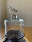 Decorative Glass Cloche bell Jar Bird Knob Distressed Metal Base