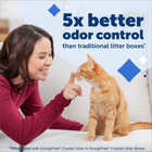 Scoopfree Complete Reusable Cat Litter Tray