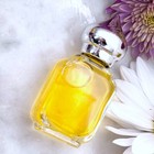 China Musk   Perfume Oil   Long Lasting   Vegan   Phthalate Free   Alcohol Free
