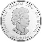2016 Polar Bear Canadian Kaleidoscope 1 Oz Silver Coin Proof Canada