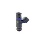 Polaris Fuel Injector  Part 2521718