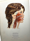 Atlas Of Anatomy Horton Weston Medical Medicine Nursing Human Body Science