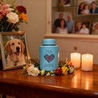 Pet Cremation Urns For Dogs Cats Ashes  Up To 60 Lbs Memorial Keepsake Urns