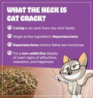 Cat Crack Organic Catnip  100  Natural Cat Nips Organic Blend  Assorted Sizes 