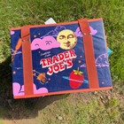 Trader Joe s Stand Up Collapsible Grocery Shopping Tote  2-pack 