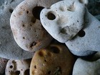 10 Wishing Stones Natural Holey Beach Stone  Hag Fossil Biology  Grey Rock