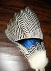 Silver Pheasant Blue Drake  Native American Smudge Feather Fan Antler