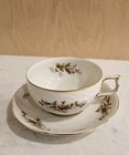 Rosenthal Continental Sanssouci Teacup   Saucer Rose Ivory Gold Trim Embossed