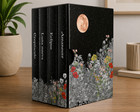 Twilight Saga Box Set Crepusculo Luna Nueva Eclipse Amanecer Espa  ol