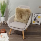 Luxury Genuine Sheepskin Throw Pillow Covers Soft Fluffy Solid Decorative Squ   