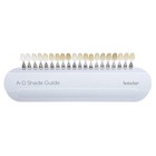 20color A-d Shade Guide Ivoclar Vivadent Dental Shade Guide A-d 20 Ips Porcelain