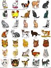 144 Cats Embroidery Machine Designs Collection Pes Usb Drive
