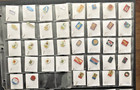 Vintage Lot Of 106 Mostly German Advertising Stick Pins Coffee Dairy Beer Food