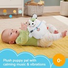 Fisher-price Calming Vibes Puppy Soother Plush Sound Machine For Newborns