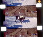 1950 s Chicago Illinois - Midwest Travel - 16mm Home Movie Film