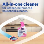 All Purpose Cleaner  Bleach Free  Spring Garden  32 Fl Oz