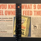 1950   s Friskies Dog Food Meal Comic Newspaper Ad