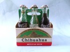 Miniature Glass Soda Pop Beer Bottles 6 Pack In Chihuahua Carton Colored Water