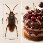 Liebctrl Fake Roaches 2 6  Realistic 2 6 X 0 8 Inches  Dark Brown