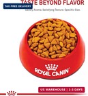 Royal Canin Feline Health Nutrition Indoor Adult Dry Cat Food  3 Lb Bag