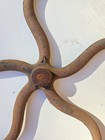 Antique Vintage Cast Iron V Belt Wheel 16 Inch Industrial Steampunk Farm   