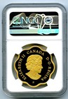 2018  20 Canada Gold Gilt Silver Ngc Pf70 Masters Club Iconic Maple Leaves Fr  