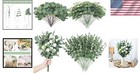 180 Pcs Mixed Silver Dollar Eucalyptus Stems For Elegant Wedding Bouquets