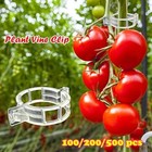 100-500pcs 25mm Garden Plant Support Clips Tomato And Veggie Trellis Twine