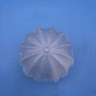 Vintage Art Deco Frosted Glass Lamp Shade Embossed Rose Beaded 3    Collar