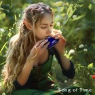 Vixxnoxx Zelda Ocarina 12 Holes Alto C Tone With Song Book  songs Navy Blue 