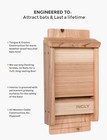 Incly Bat House For Outdoors Double Chamber Cedar Wood Bat Box Shelter - Natural