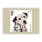 Gb 2024 Dogs Phq Postcards Set Of 10 Mint Condition  Sealed Pack