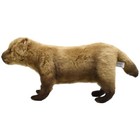 Hansa Bush Dog 48 Bh8146 Realistic Plush Animals From Japan