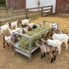 96gal Goat Horse Feeder 2 In 1 Livestock Feed Trough Pasture Hay Feeder 5ft Long