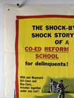 Riot In Juvenile Prison Movie Poster  fine  One Sheet 1959 Bad Girl 27190