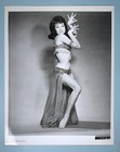 1965 Shirley Maclaine John Goldfarb 6 Photo Press Packages 26 Stills   Info Shts