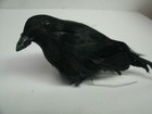 Lot Of 6 Black Feathered 4  Crow Black Bird Halloween Fall Decor Accent
